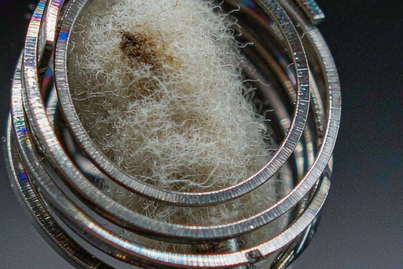 B2B Supply of Beipu pods — age-verified