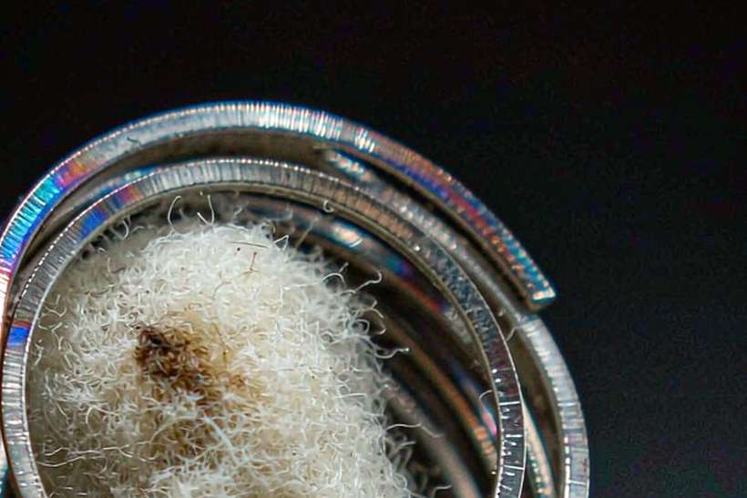 B2B Supply of Beipu pods — EU stock