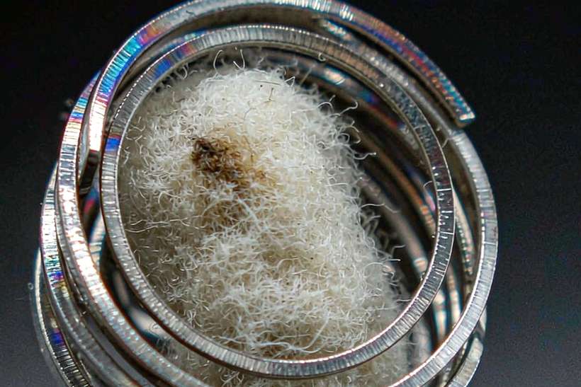 Buyer's Guide to Beipu coils — Summer deals
