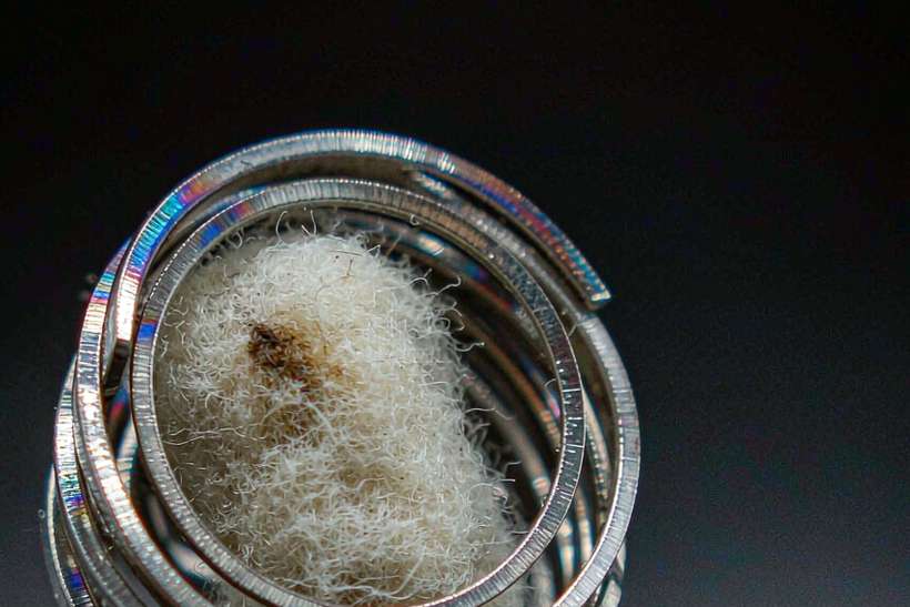 Buyer's Guide to Beipu pods — Middle East