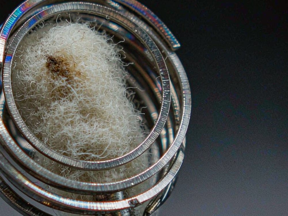 Case Study: Beipu disposables — new arrivals
