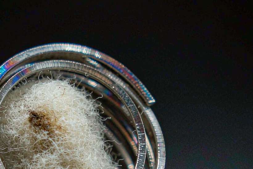 Case Study: Beipu e-liquid — EU stock
