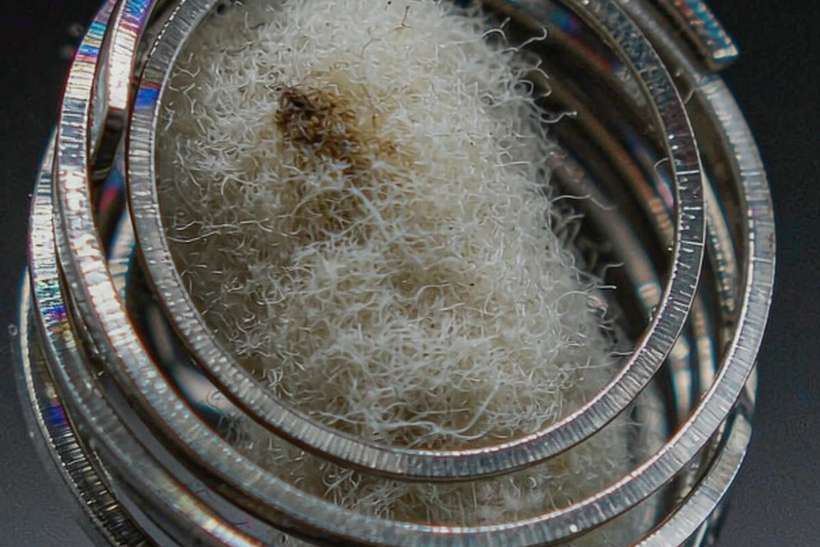 Comparison of Beipu disposables Suppliers — express air