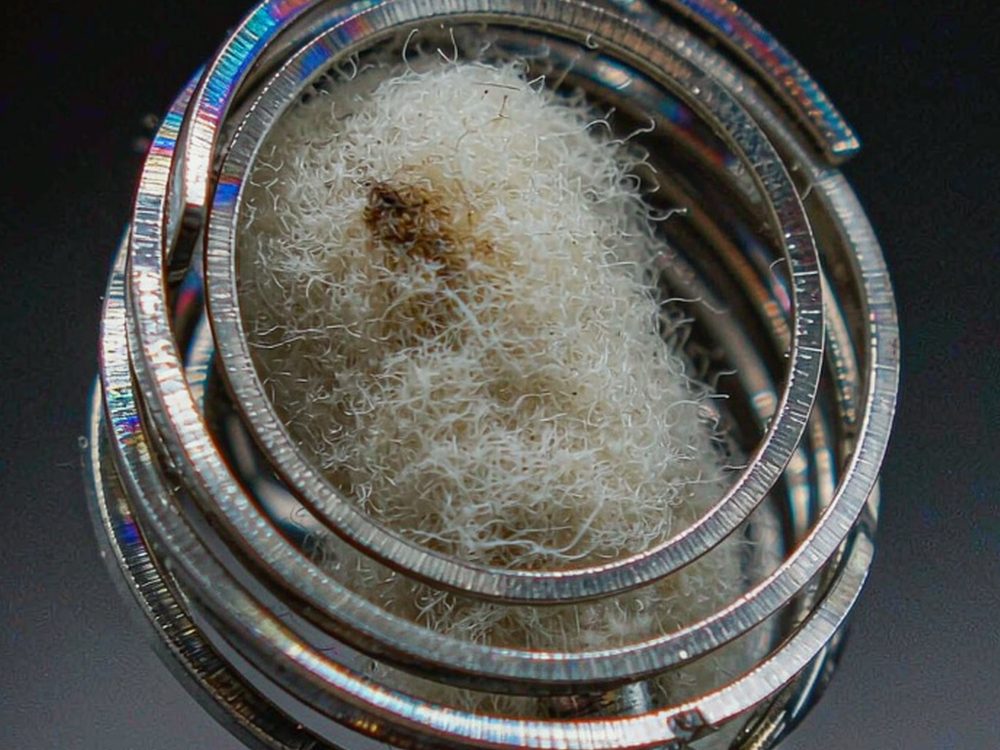 FAQ on Beipu kits — 2026
