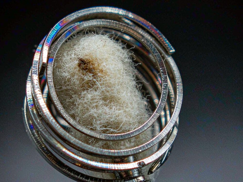 Glossary of Beipu tanks — new arrivals