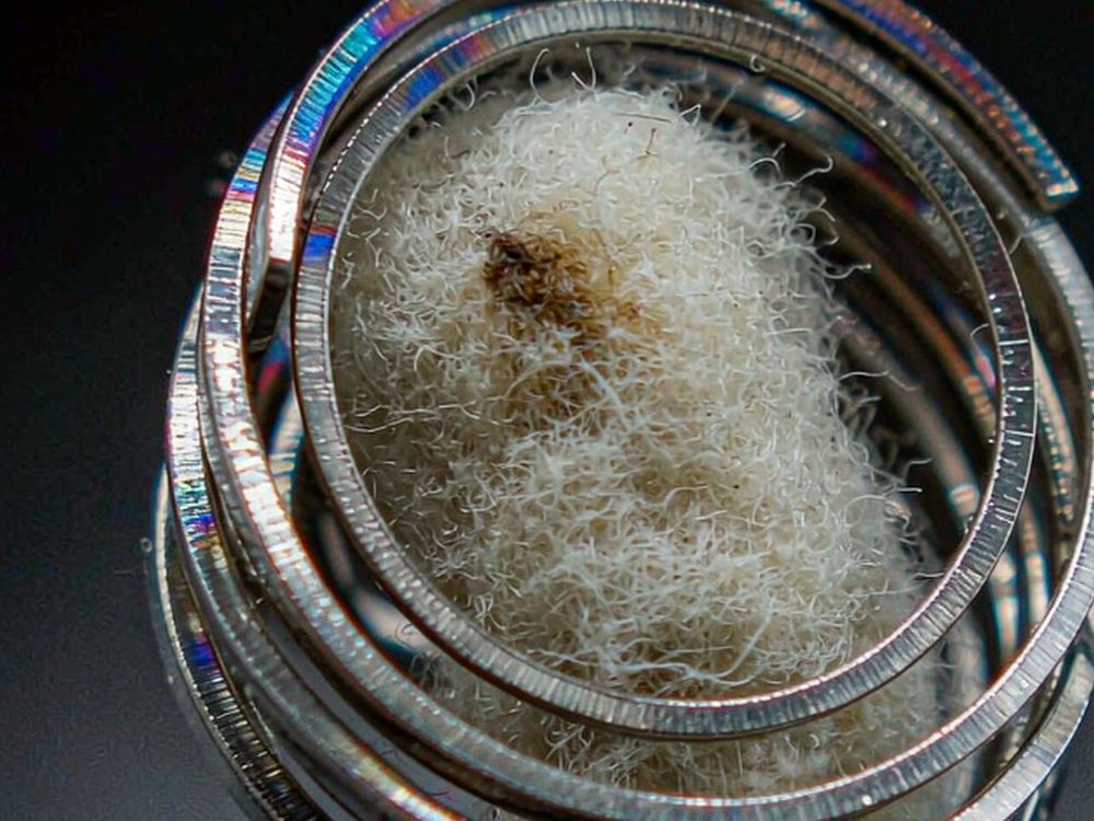 Launch Plan for Beipu disposables — bulk case