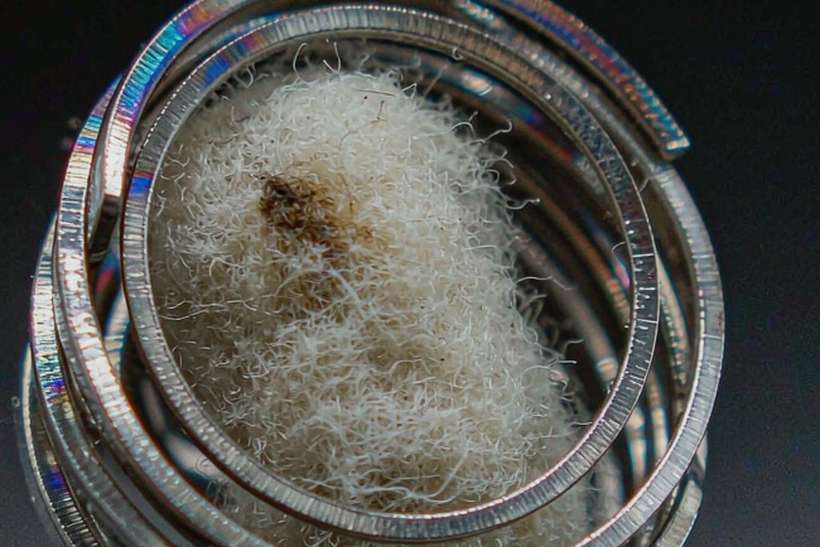 Margins on Beipu pods — US warehouse