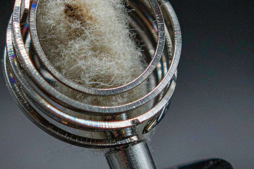 Market Overview of Beipu coils — Autumn stock
