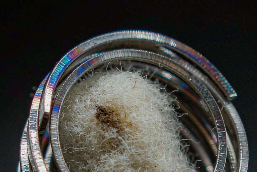 Market Overview of Beipu pods — OEM available