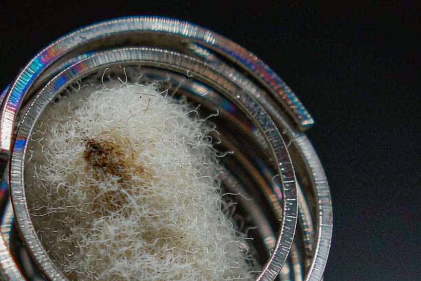 MOQ and Lead Time for Beipu coils — Summer deals