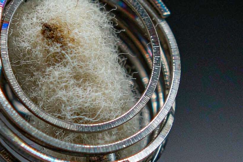 Regional Review of Beipu coils — Middle East