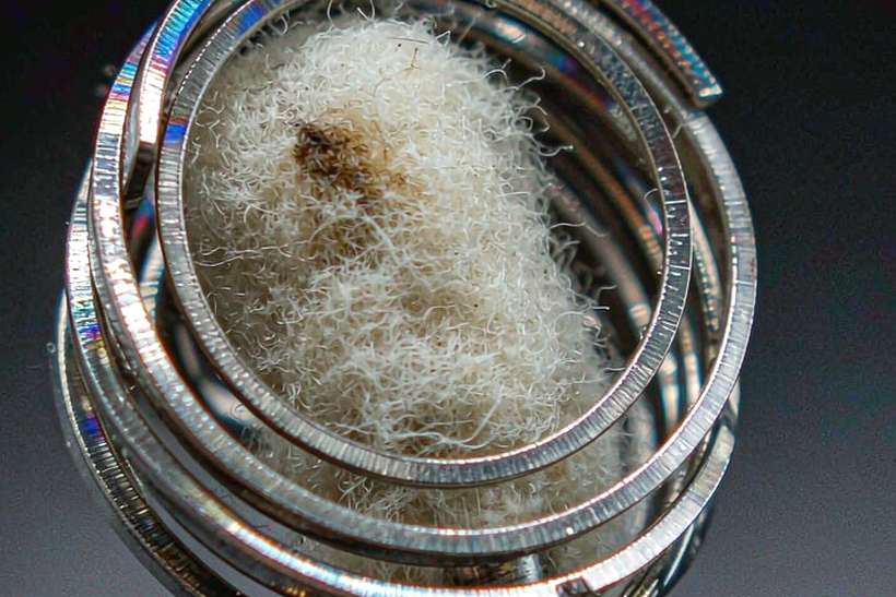 Sourcing Report on Beipu coils — EU stock