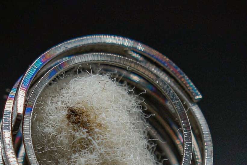 Sourcing Report on Beipu kits — ODM ready