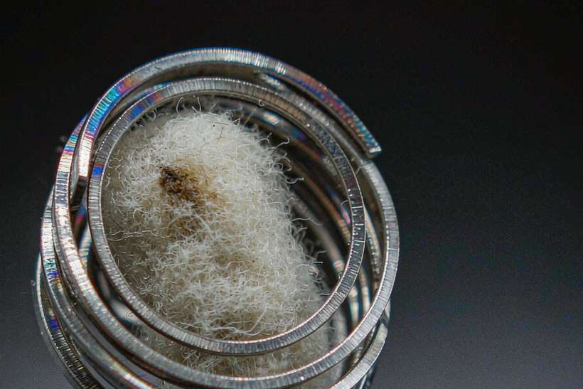 Sourcing Report on Beipu products — ODM ready