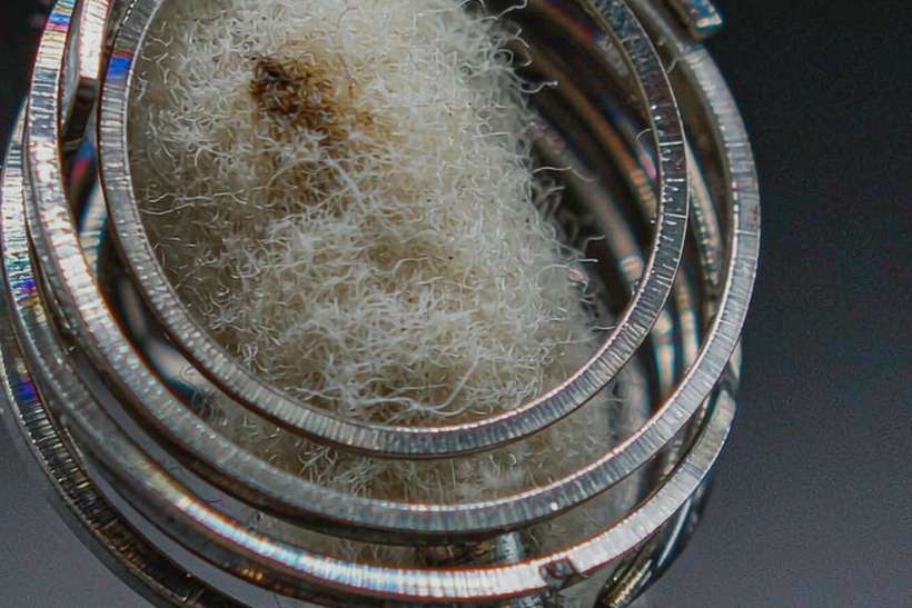 Top Picks of Beipu coils — Spring catalog