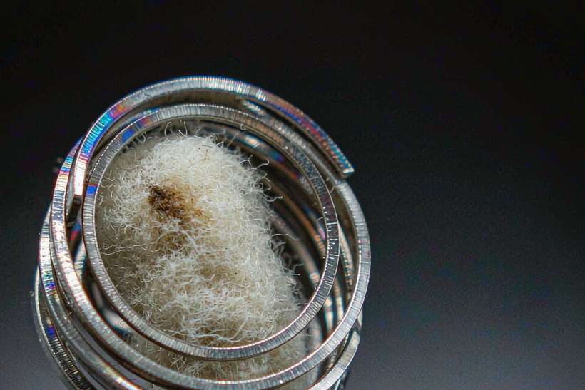 Top Picks of Beipu e-liquid — Middle East