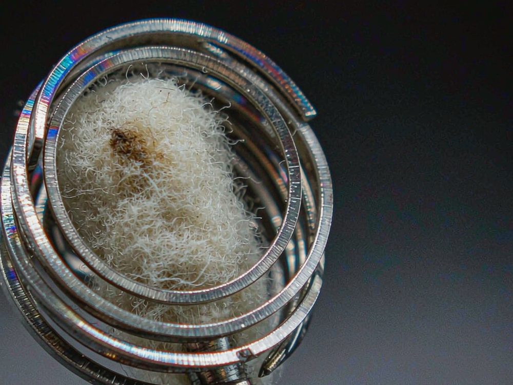 Trend Report on Beipu pods — new arrivals