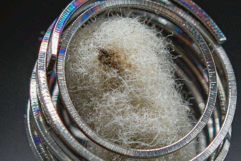 Wholesale Beipu bundles — limited batch