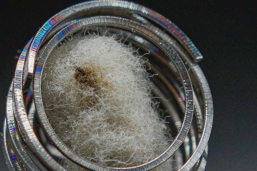 Wholesale Beipu products — express air